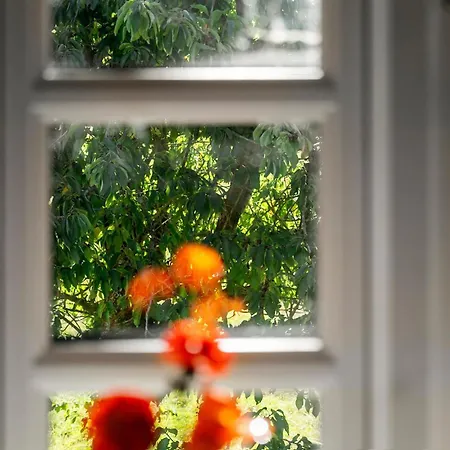 Beautiful In With Sauna Vakantiehuis