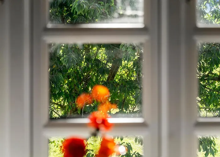 Beautiful In With Sauna Vakantiehuis